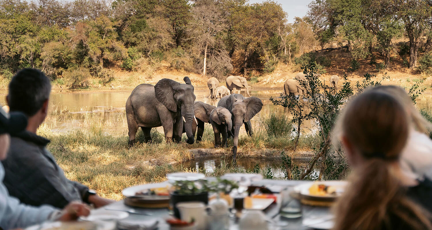 Experience SIMBAVATI RIVER LODGE at The DCC Hotel Group
