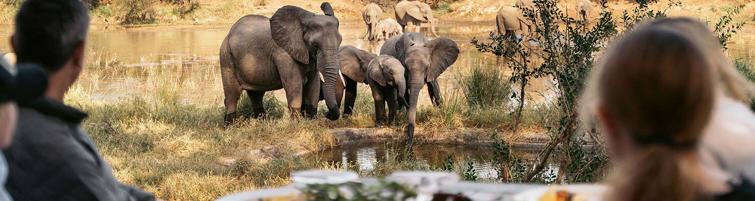 Experience SIMBAVATI RIVER LODGE at The DCC Hotel Group
