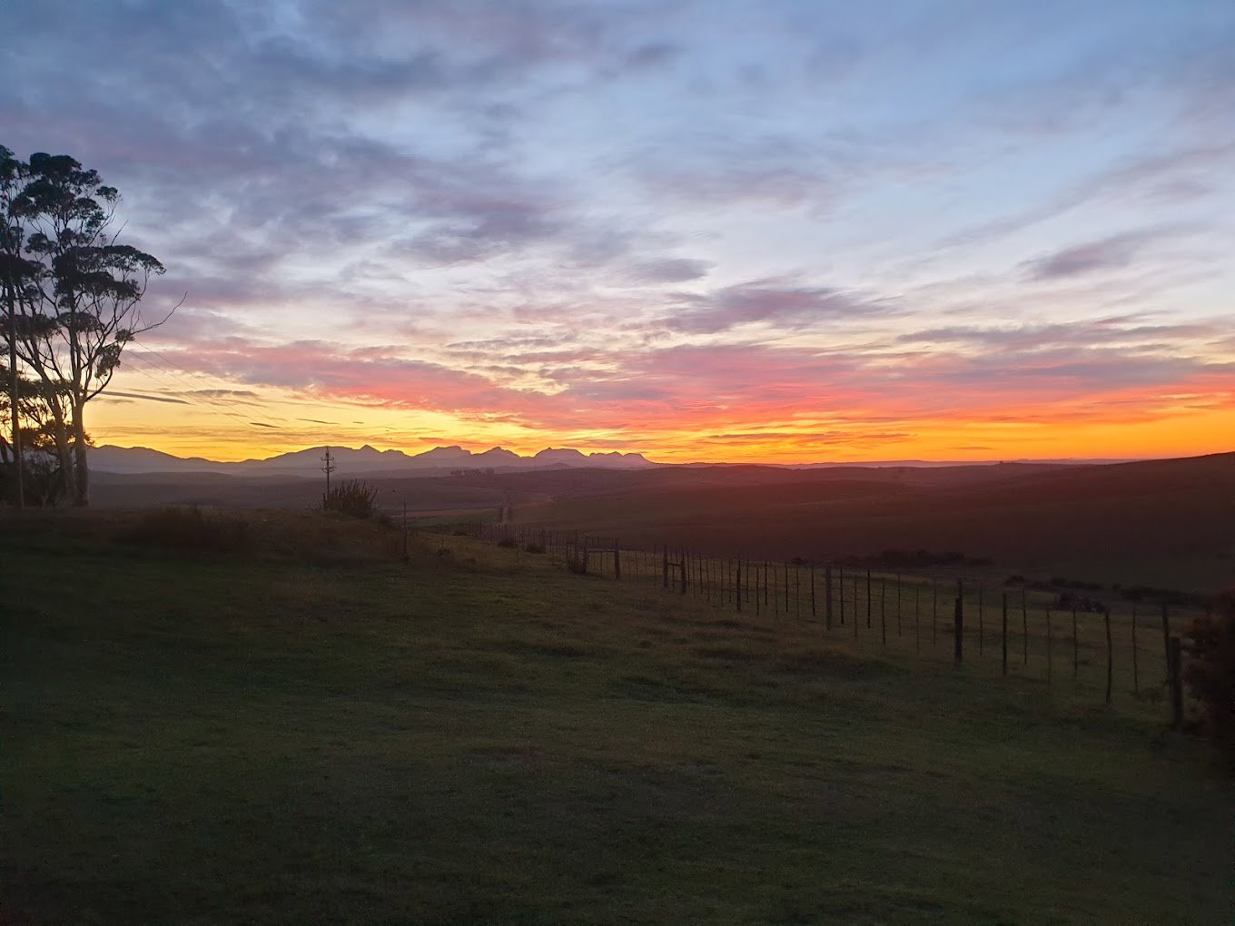 Experience Skeiding Guest Farm at The DCC Hotel Group