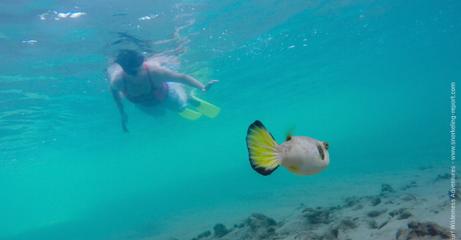 Kosi Forest Lodge iSimangaliso Wetland Park, KwaZulu-Natal. Snorkeling. DCC Hotel Group Collection