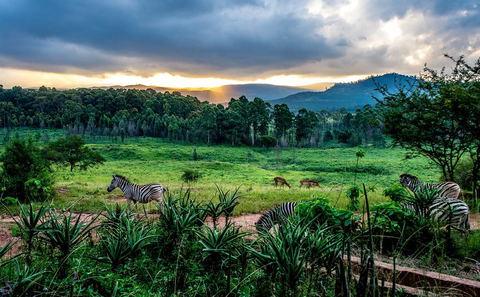 Swaziland (eSwatini), Accommodation, Kruger National Park, Marloth Park, Mpumalanga, DCC Hotel Group