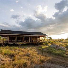 Savour the tranquil beauty of the Serengeti, where vast open spaces and the sounds of nature create the perfect setting for relaxation and adventure.
