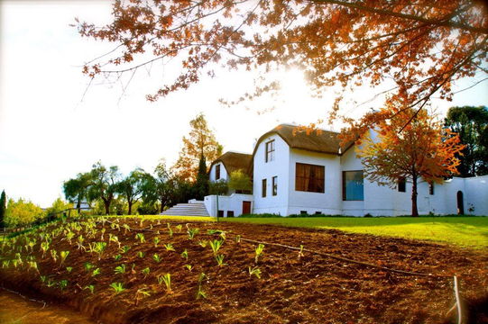 The Farm House. Stellenbosch, Western Cape, South Africa, DCC Hotel Group