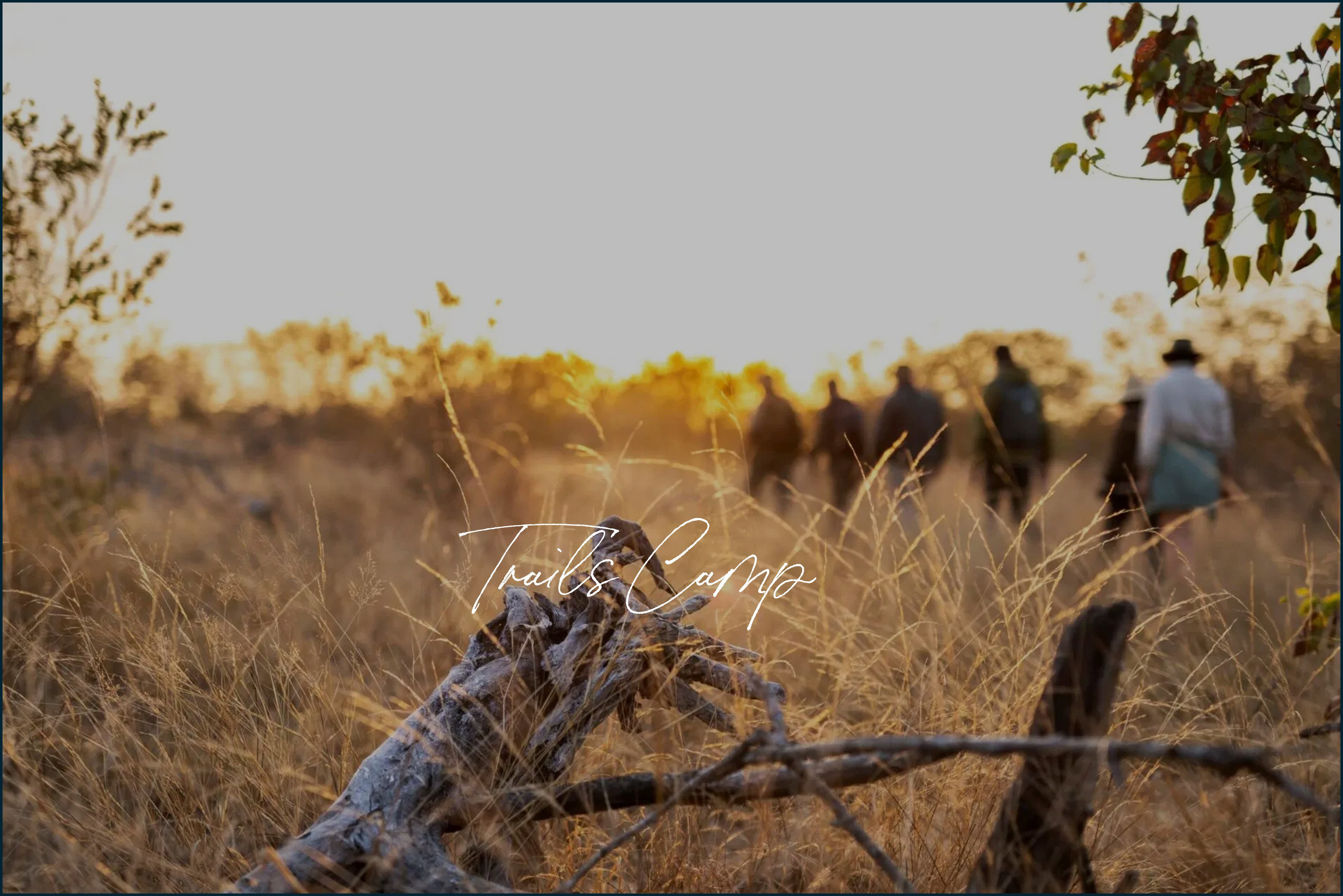 Experience SIMBAVATI TRAILS CAMP at The DCC Hotel Group