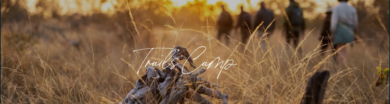 Experience SIMBAVATI TRAILS CAMP at The DCC Hotel Group