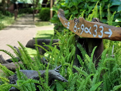 Experience the peaceful charm of Tsitsikamma Lodge & Spa, where nature’s beauty surrounds you in every moment.