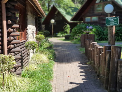 Explore the natural beauty of Moolmanshoek with peaceful wooden walkways surrounded by lush greenery, creating the perfect escape into nature.