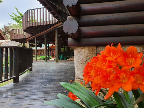 Discover serenity at Tsitsikamma Lodge & Spa, where lush gardens and luxurious comfort offer the perfect retreat.
