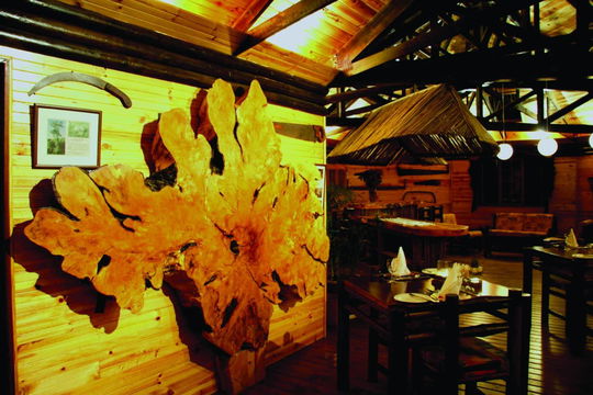 Experience the serenity of Tsitsikamma Lodge & Spa, where nature, comfort, and artistic charm create the perfect escape.
