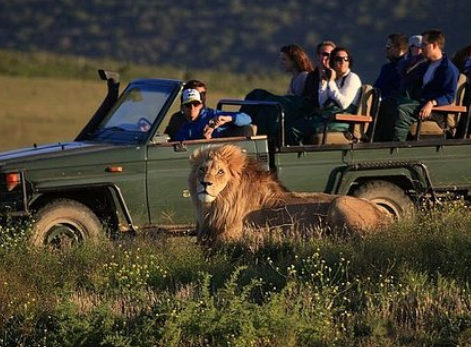 Knysna, Western Cape, Wildlife watching. Dcc Hotel Group Collections.