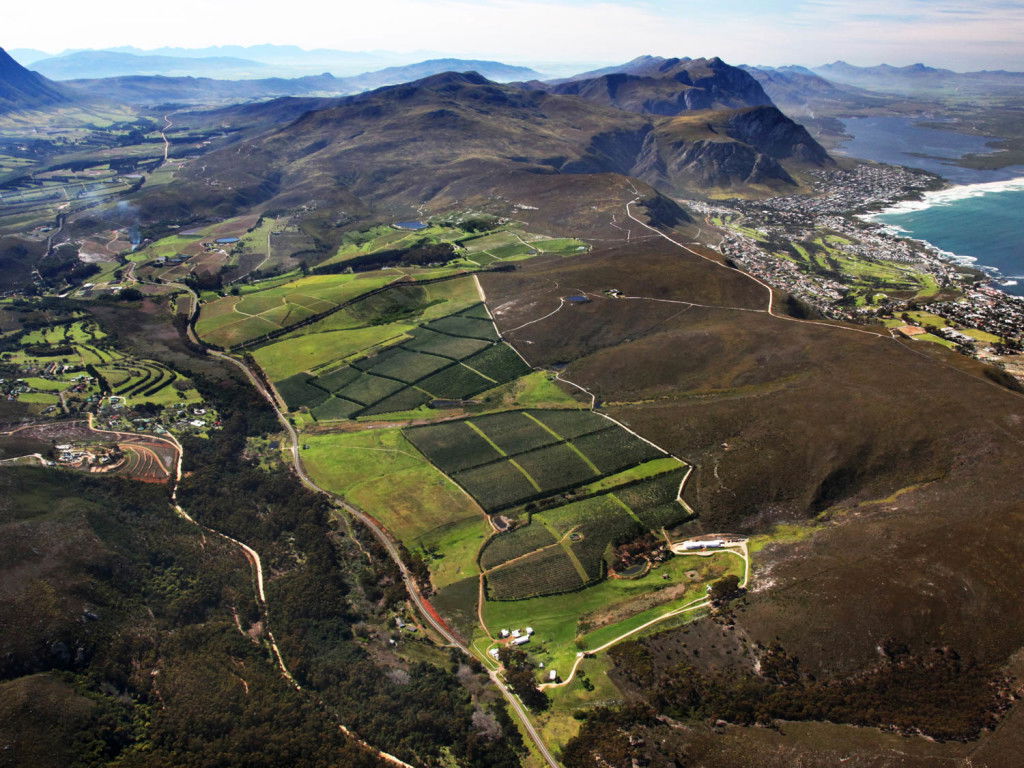 Wine Tasting in the Hemel-en-Aarde Valley, DCC Hotel Group