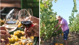 Wine Tasting at Local Estates, Bot Rivier, DCC Hotel Collection