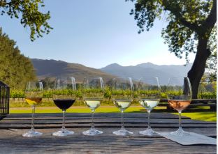 Wine Tasting on the Stellenbosch Wine Route, Stellenbosch, DCC Hotel Collection