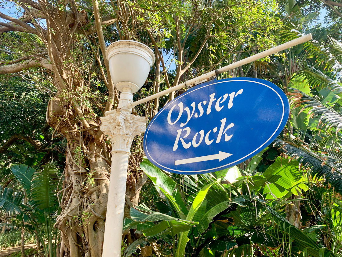 Oysters Gardens