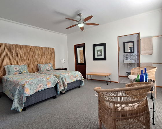 Spacious Twin Room