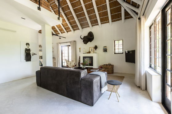 Buffalo Apartment