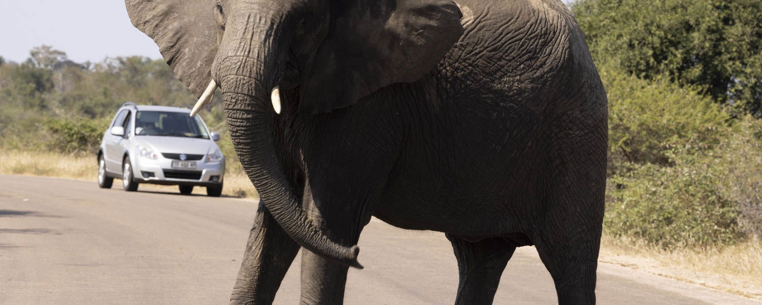 Addo National Park