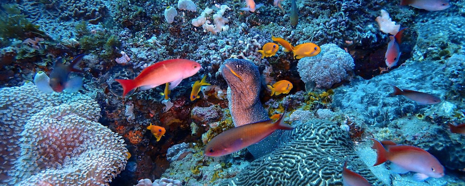 sodwana-bay