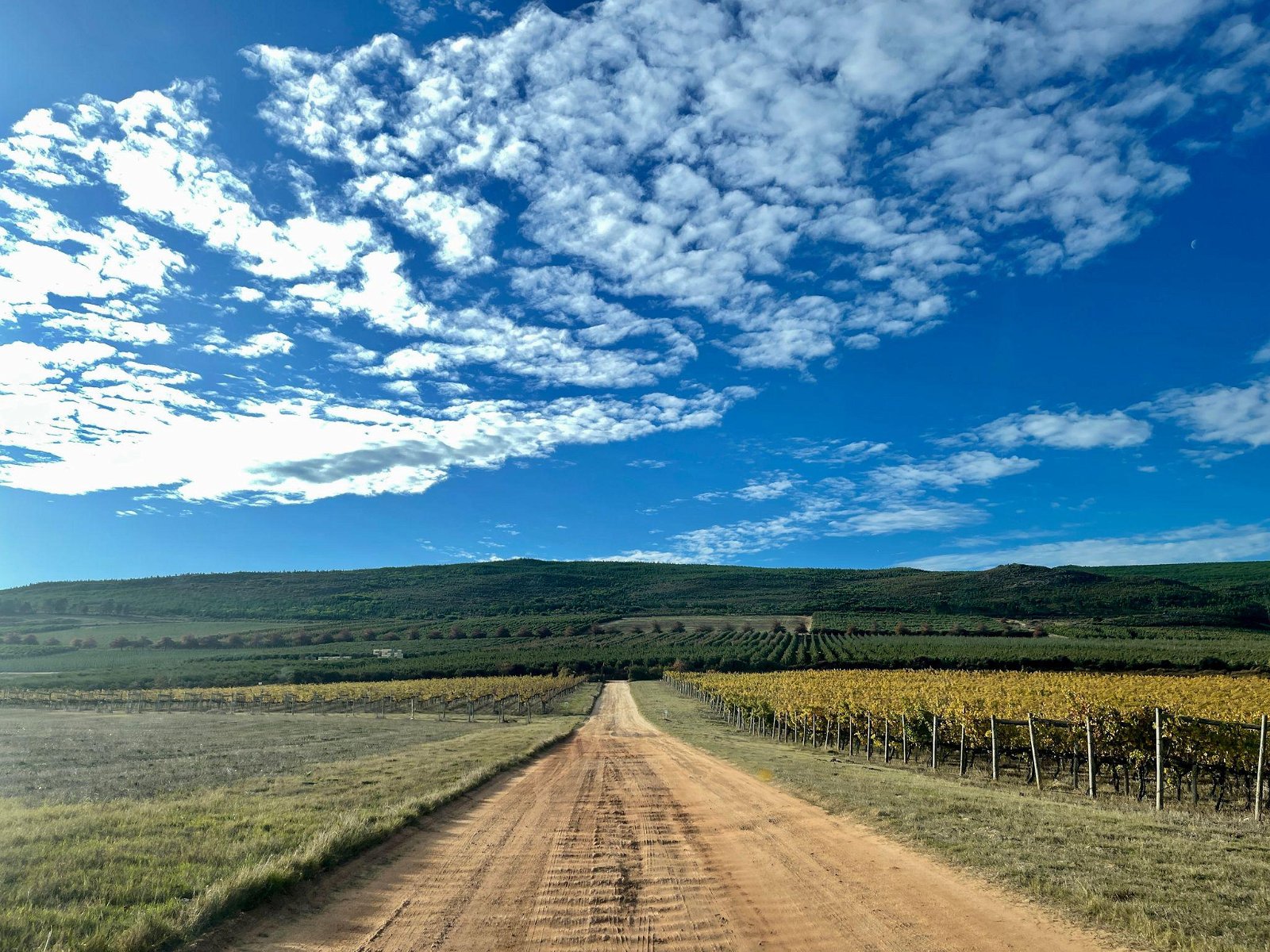 Wineries
