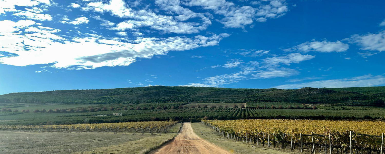Wineries