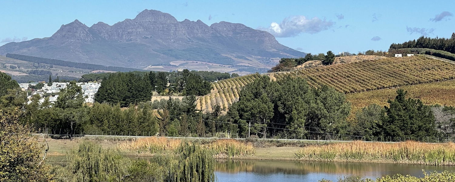 Wine tasting Cape Town