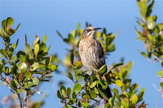 Feel connected to nature at Erika27 B&B with wildlife all around