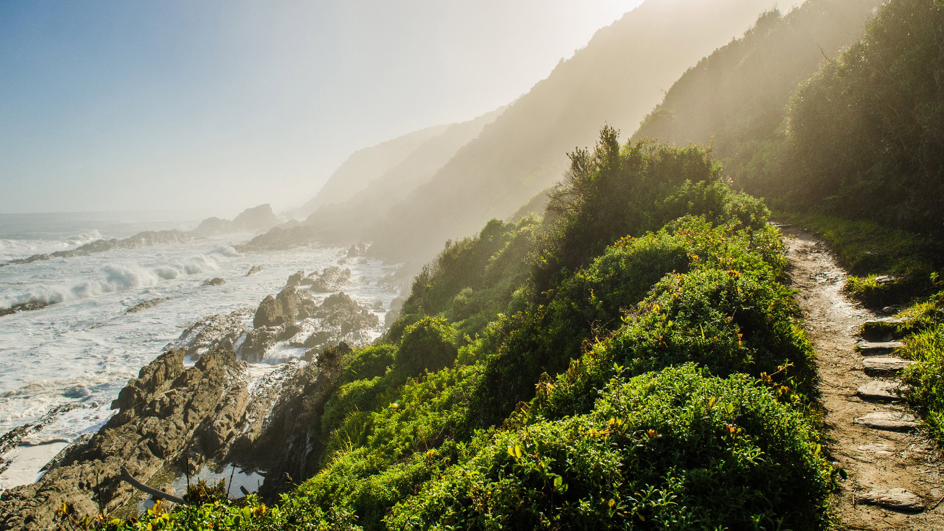Tales of the Garden Route