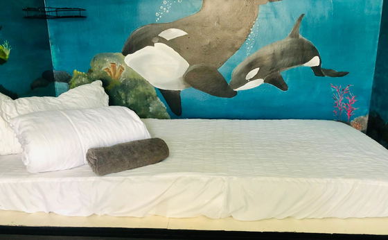 Capsule 3 / ORCA