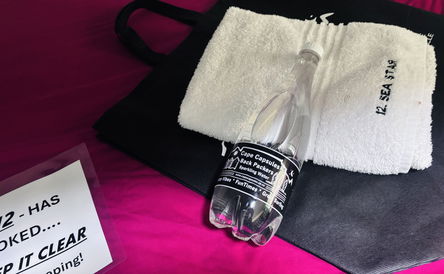 Bottom Bunk Bed 12. Sea Star Open Dorm