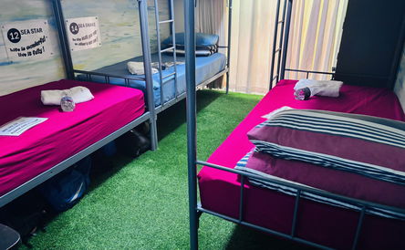 Top Bunk Bed 15. Sea Lion Open Dorm