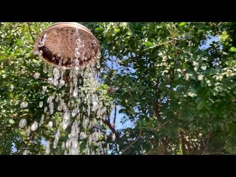 Shower with an Elephant 
