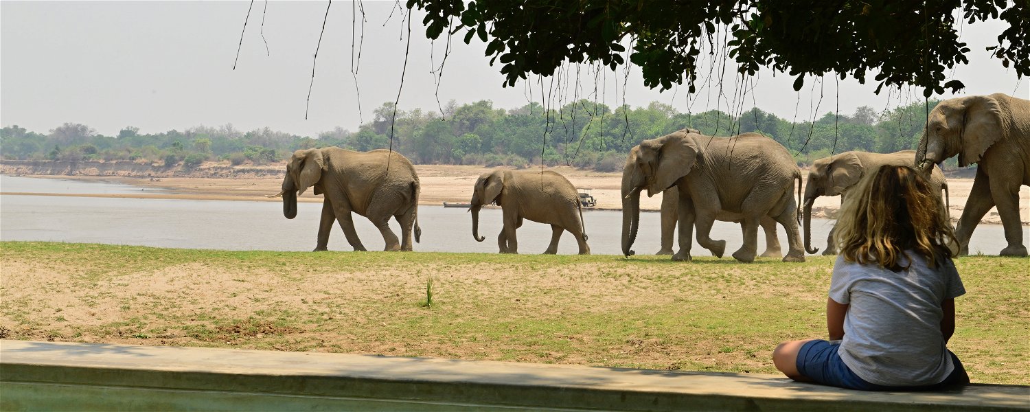 watching elephants from the pool at msandile river lodge while being on safari in mfuwe south luangwa zambia