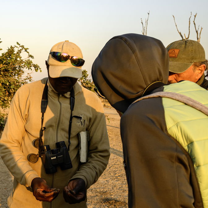 Guide and guests on bush walk