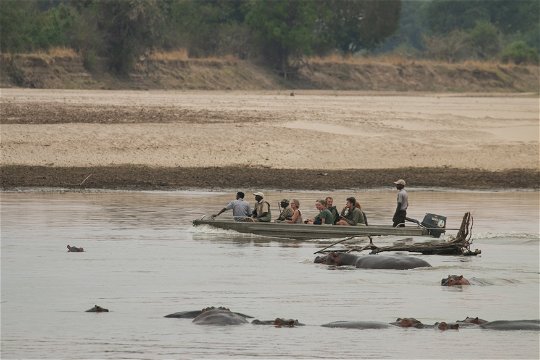 Guests crossing the Luangwa River around the hippos
