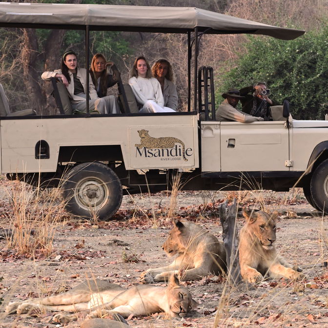 Game Drive