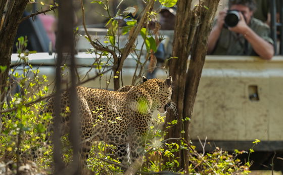 Photo Safari Tours - by World Press photographer
