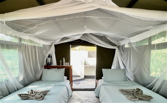 En-suite Deluxe Twin Tent (2 single beds)