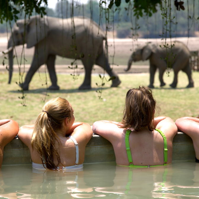 guests watching elephants cross the Luangwa River from the pool at Msandile River Lodge in South Luangwa National Park in Zambia Africa.