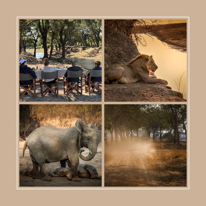 wonderful whole day game drives to different parts in south luangwa national park like Nsefu area