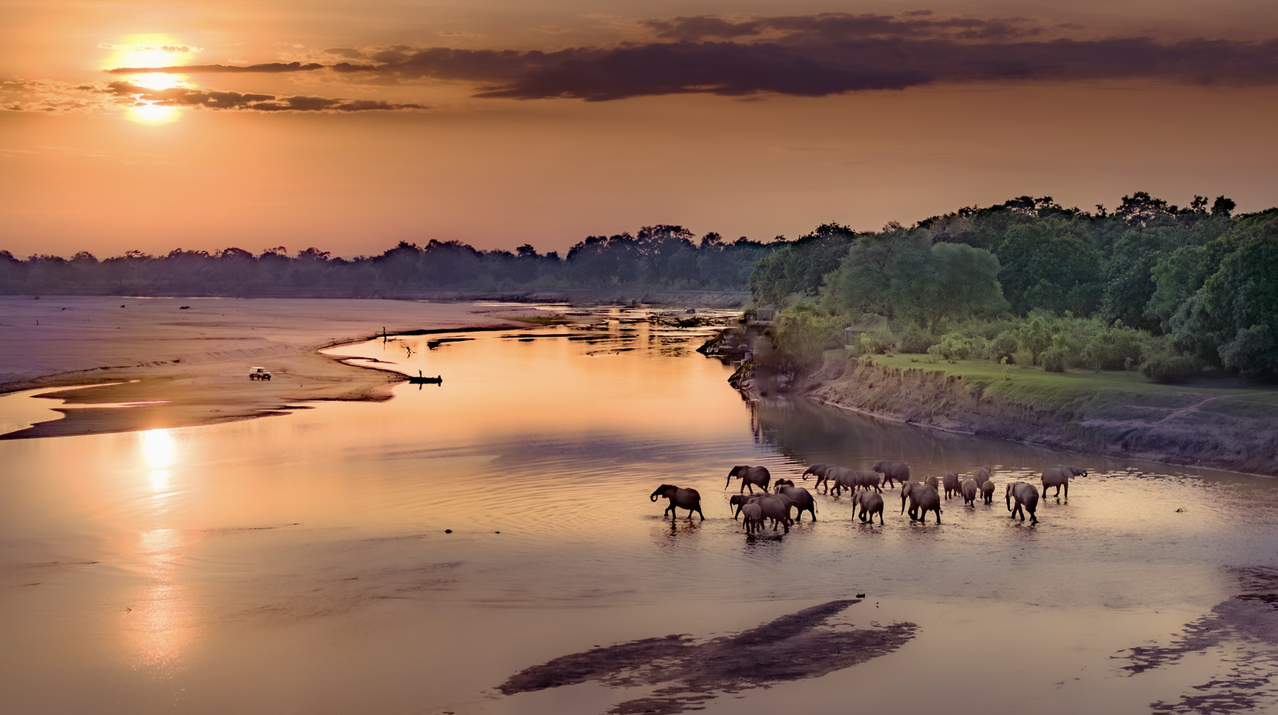 Elephants crossing the river at msandile river lodge South Luangwa National Park zambia by Solly Levi