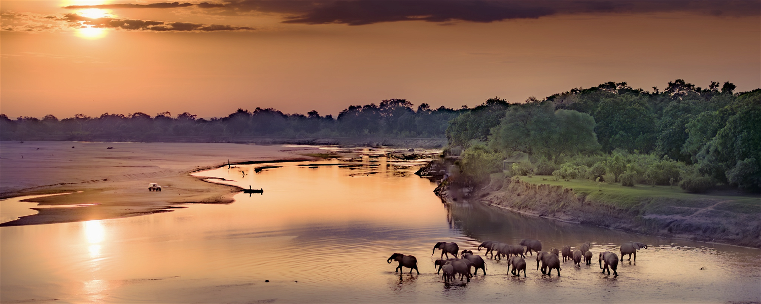 Elephants crossing the river at msandile river lodge South Luangwa National Park zambia by Solly Levi