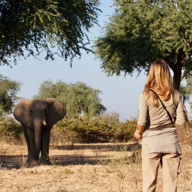Walking safari