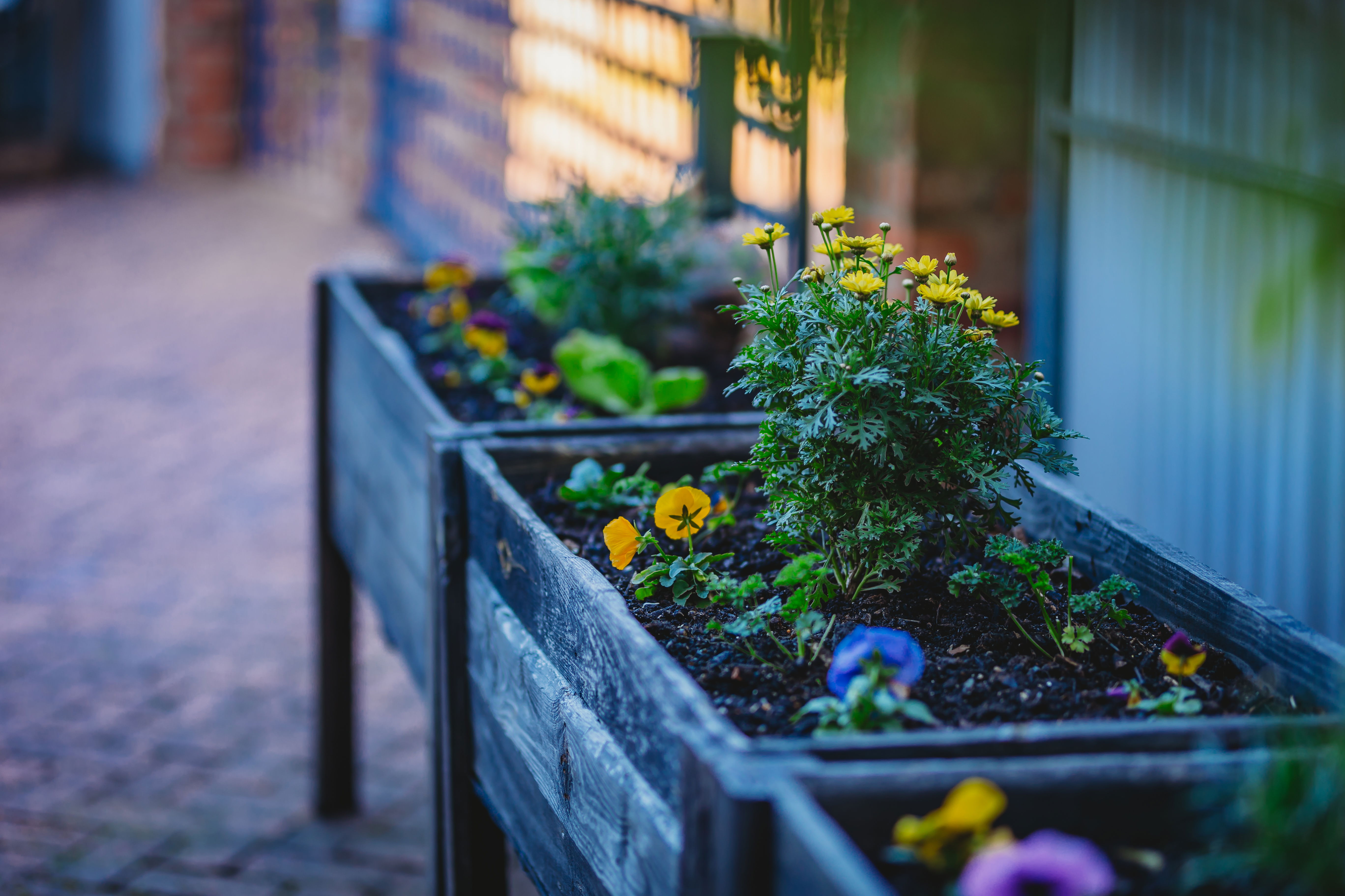 Gardening