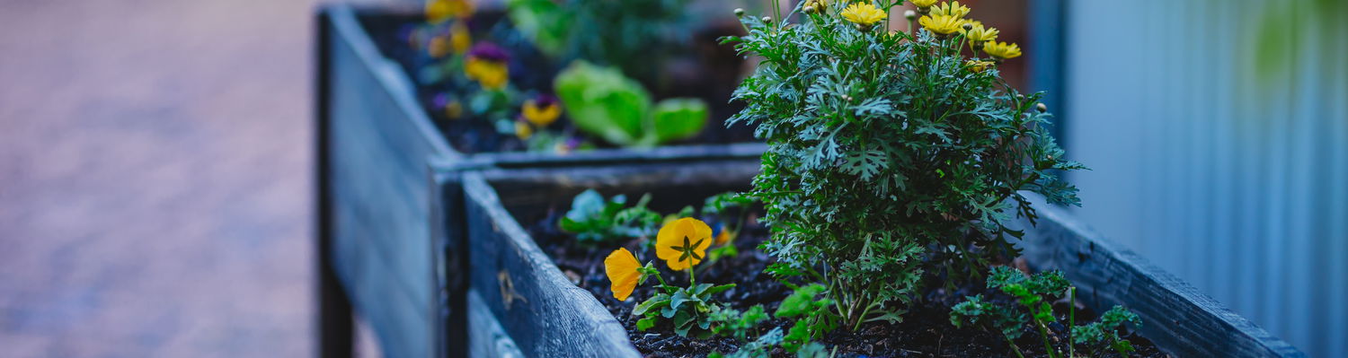 Gardening