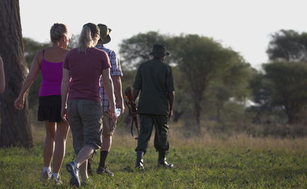 Tanzania walking safari 