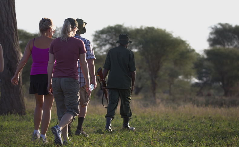 The best way to understand a landscape is sometimes to walk through it. Tanzania walking safaris reveal tracks, plants, birds, wildlife signs, and changing habitats that are easily missed from a vehicle. The experience brings travelers closer to the ecological details of the wilderness.