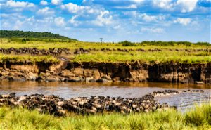 14 days Unforgettable Tanzania Special Interests Tour
