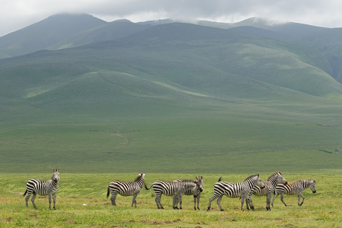 Photography safari in Tanzania with Kijani Tours