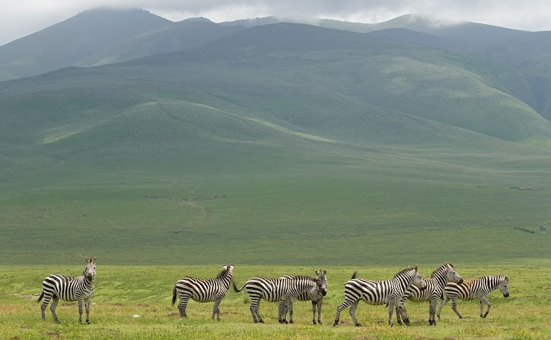 Photography safari in Tanzania with Kijani Tours Photography safari in Tanzania with Kijani Tours