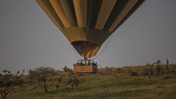 Watch the Serengeti unfold beneath you as a hot-air balloon drifts quietly over endless plains, wildlife, and golden morning light. A different perspective on one of Tanzania’s most iconic landscapes. Watch the Serengeti unfold beneath you as a hot-air balloon drifts quietly over endless plains, wildlife, and golden morning light. A different perspective on one of Tanzania’s most iconic landscapes.